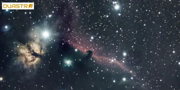 Extraterrestrial Life: Cosmic Connections